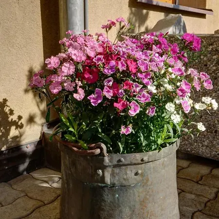 Chesa Munteratsch 2-zimmerwohnung 201 Typ E Lejlighed *