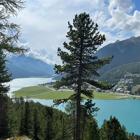 Chesa Munteratsch 2-zimmerwohnung 201 Typ E *