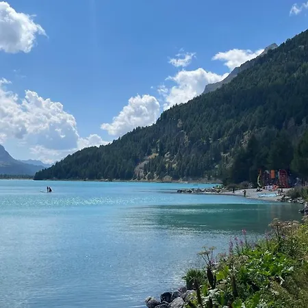 Apartamento Chesa Munteratsch 2-zimmerwohnung 201 Typ E *