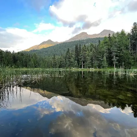 Chesa Munteratsch 2-zimmerwohnung 201 Typ E * Silvaplana