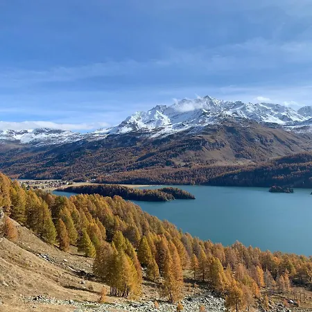 Chesa Munteratsch 2-zimmerwohnung 201 Typ E Silvaplana