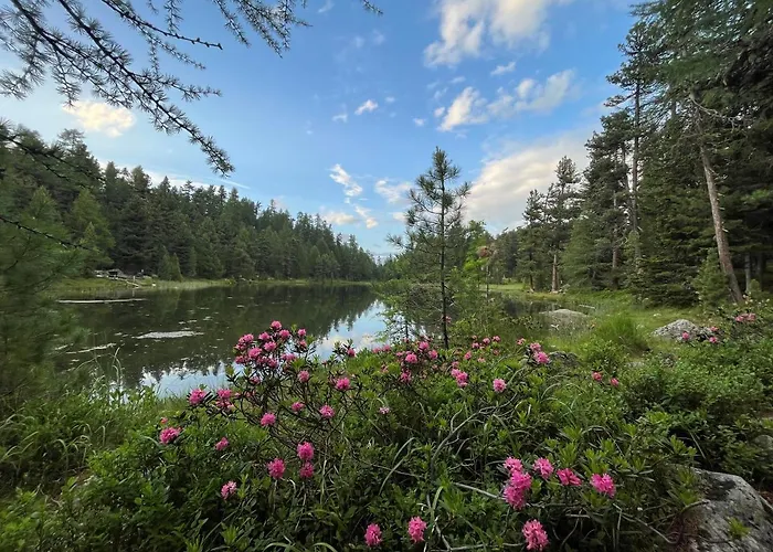 Chesa Munteratsch 2-zimmerwohnung 201 Typ E Apartment Silvaplana