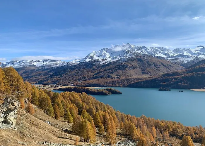 Chesa Munteratsch 2-zimmerwohnung 201 Typ E Silvaplana