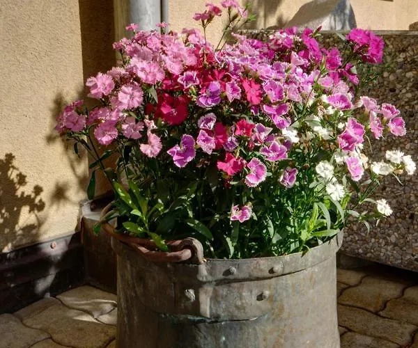 Chesa Munteratsch 2-zimmerwohnung 201 Typ E Apartman *