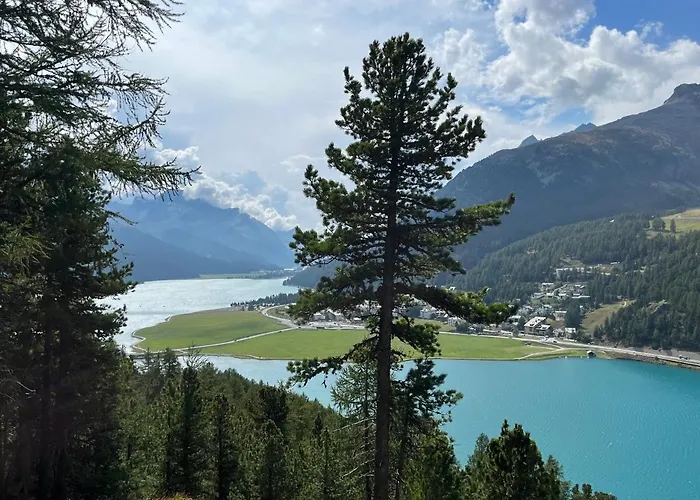 Chesa Munteratsch 2-zimmerwohnung 201 Typ E *