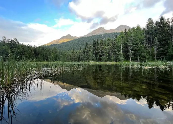 Chesa Munteratsch 2-zimmerwohnung 201 Typ E * Silvaplana